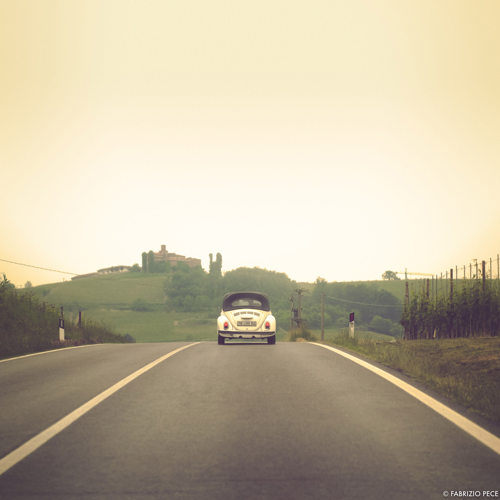 the love bug